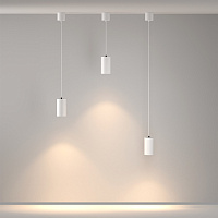 Maytoni Technical Vol Подвесной светильник цвет: белый P100PL-20W3K-W