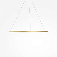 Maytoni Modern Rim Подвесной светильник цвет: латунь MOD058PL-L54BSK