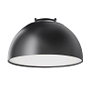 Maytoni Technical Bowl Подвесной светильник цвет: черный TR126B-20W4K-B