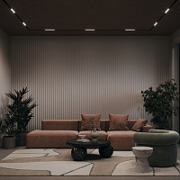 Maytoni Technical Points Трековый светильник цвет: черный TR076-2-20W3K-B