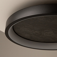 Maytoni Modern Orign Потолочный светильник цвет: черный MOD311CL-L40B3K