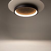 Maytoni Modern Orign Потолочный светильник цвет: черный MOD311CL-L40B3K