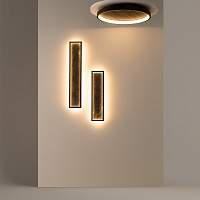 Maytoni Modern Orign Потолочный светильник цвет: черный MOD311CL-L40B3K