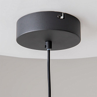 Maytoni Modern Futuro Подвесной светильник цвет: черный MOD307PL-L24B3K
