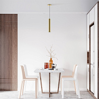 Maytoni Modern Pro Focus Подвесной светильник цвет: золото MOD161PL-01G1