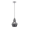 Maytoni Modern Eustoma Подвесной светильник цвет: никель MOD238-PL-01-B