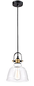 Maytoni Modern Irving Подвесной светильник цвет: черный T163-11-W