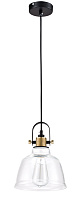 Maytoni Modern Irving Подвесной светильник цвет: черный T163-11-W