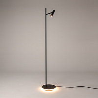 Maytoni Modern Estudo Напольный светильник (торшер) цвет: черный Z010FL-L8B3K