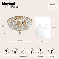 Maytoni Classic Basfor Люстра цвет: золото DIA100-CL-03-G
