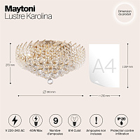 Maytoni Classic Karolina Люстра цвет: золото DIA120-09-G