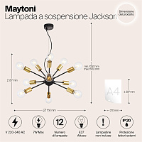 Maytoni Loft Jackson Подвесной светильник цвет: черный T546PL-12B