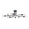 Maytoni Loft Gilbert Потолочный светильник цвет: черный T532CL-08B