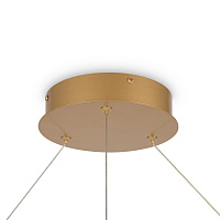 Maytoni Modern Rim Подвесной светильник цвет: латунь MOD058PL-L65BS4K