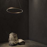 Maytoni Modern Rim Подвесной светильник цвет: латунь MOD058PL-L54BS4K
