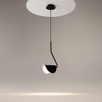 Maytoni Modern Mollis Подвесной светильник цвет: черный MOD126PL-01B