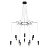 Maytoni Modern Davida Подвесной светильник цвет: черный MOD035PL-12B