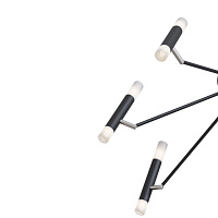 Maytoni Modern Vigo Потолочный светильник цвет: черный MOD620CL-16B