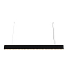 Maytoni Technical Points Подвесной светильник цвет: черный P050PL-L40B4K