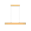 Maytoni Technical Step Подвесной светильник цвет: золото P010PL-L23G3K