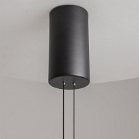 Maytoni Modern Ambience Подвесной светильник цвет: черный MOD280PL-L30B3K