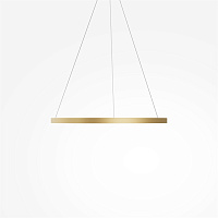Maytoni Modern Rim Подвесной светильник цвет: латунь MOD058PL-L42BSK