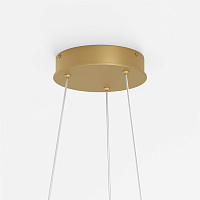 Maytoni Modern Rim Подвесной светильник цвет: латунь MOD058PL-L42BSK