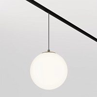 Maytoni Technical Luna Трековый подвесной светильник цвет: черный TR039-2-5W4K