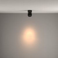 Maytoni Technical Yin Потолочный светильник цвет: черный C084CL-15W3K-B
