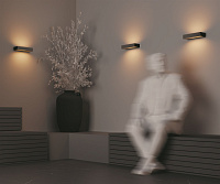 Maytoni Outdoor Lot Настенный светильник (бра) цвет: графит O428WL-L20GF3K