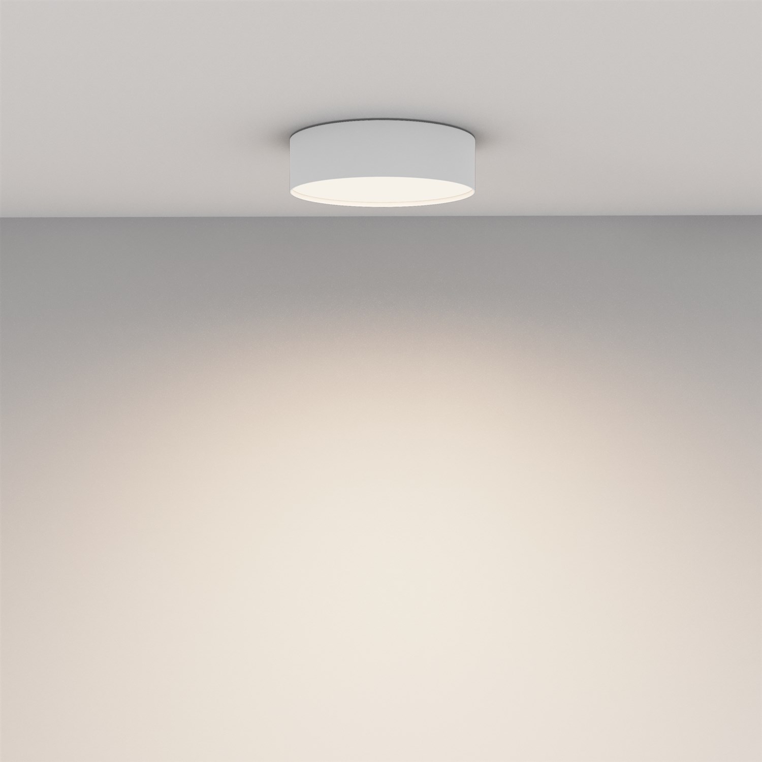 Maytoni Technical Zon Потолочный светильник цвет: белый C032CL-24W4K-RD-W