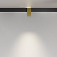 Maytoni Technical Alfa Трековый светильник цвет: латунь TR121-2-7W4K-BS