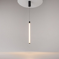 Maytoni Technical Ray Подвесной светильник цвет: черный P022PL-L10B