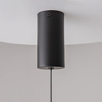 Maytoni Technical Ray Подвесной светильник цвет: черный P022PL-L10B