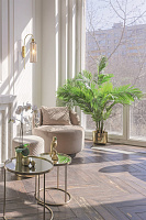Maytoni Modern Antic Настенный светильник (бра) цвет: золото MOD302WL-01CG