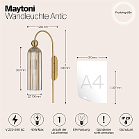 Maytoni Modern Antic Настенный светильник (бра) цвет: золото MOD302WL-01CG