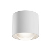 Maytoni Technical Lens Потолочный светильник цвет: белый C217CL-15W4K-W