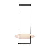 Maytoni Modern Ambience Подвесной светильник цвет: черный MOD280PL-L23B3K1