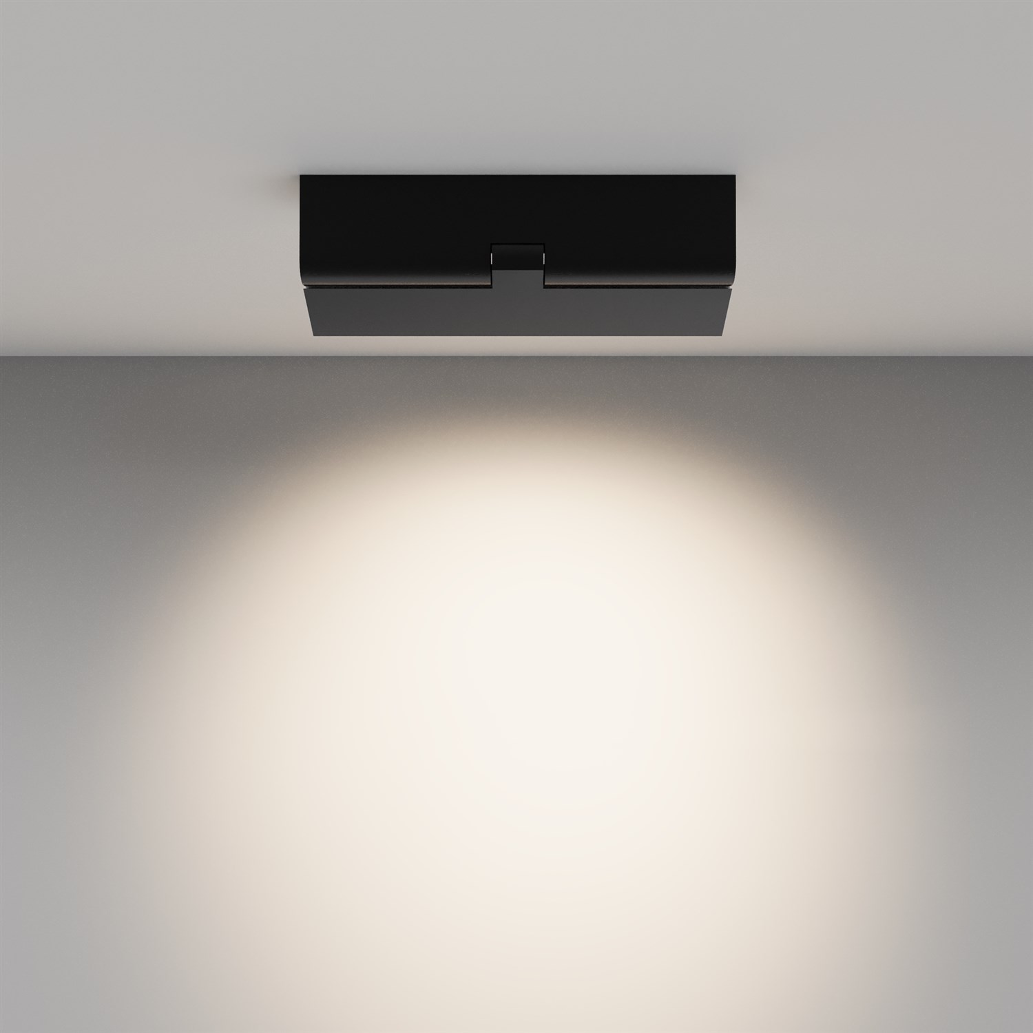 Maytoni Technical Points rot Потолочный светильник цвет: черный C136CL-12W4K-B