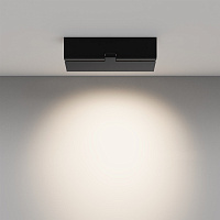 Maytoni Technical Points rot Потолочный светильник цвет: черный C136CL-12W4K-B