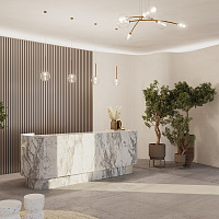Maytoni Modern Mood Подвесной светильник цвет: латунь MOD172PL-06BS