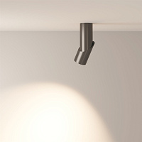 Maytoni Technical Dafne Потолочный светильник цвет: черный C027CL-L10B4K