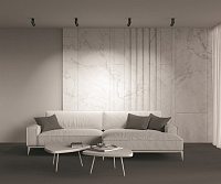 Maytoni Technical Dafne Потолочный светильник цвет: черный C027CL-L10B4K