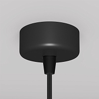 Maytoni Technical Focus Design Подвесной светильник цвет: черный P038PL-01B