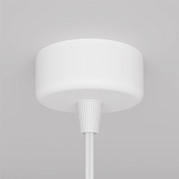 Maytoni Technical Focus Design Подвесной светильник цвет: белый P038PL-01W