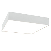 Maytoni Technical Zon Потолочный светильник цвет: белый C067CL-L40W4K