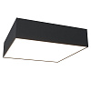 Maytoni Technical Zon Потолочный светильник цвет: черный C067CL-L27B3K