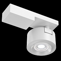 Maytoni Technical Treo Потолочный светильник цвет: белый C062CL-L12W4K