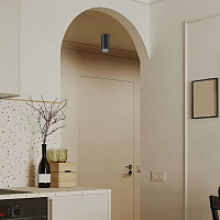 Maytoni Technical FOCUS S Потолочный светильник цвет: черный C052CL-01B