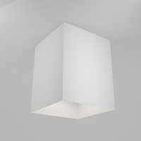 Maytoni Technical Slim Потолочный светильник цвет: белый C015CL-01W